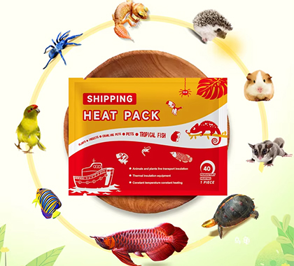 Heat Pack for Shipping